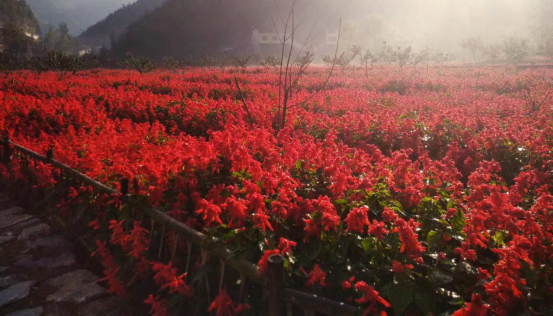 圖片4.png 圖片4.png