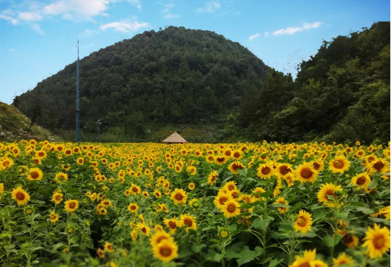 圖片7.png 圖片7.png