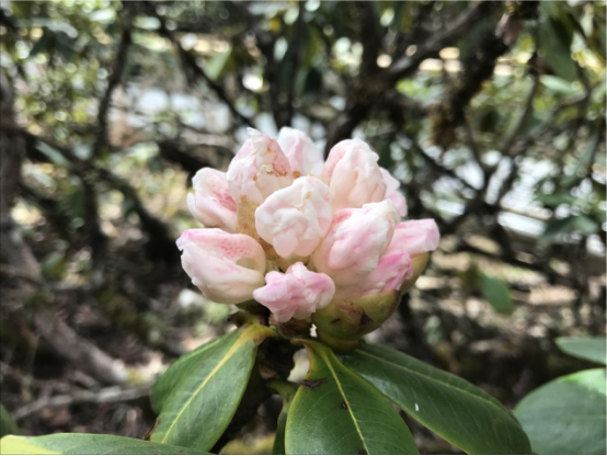 圖片5.png 圖片5.png