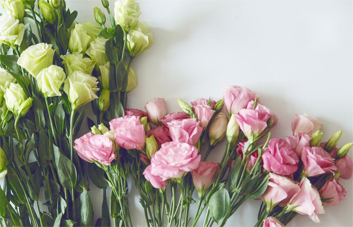 /uploads/image/2023/03/08/圖片1.jpg 圖片1.jpg